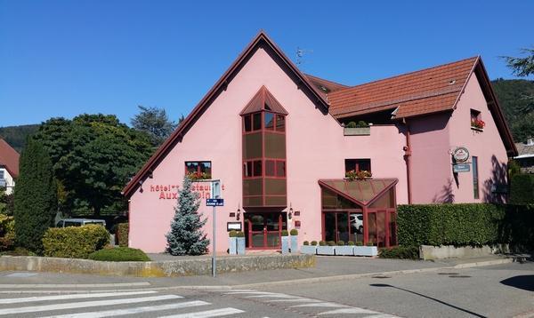 Hotel Restaurant Aux Sapins Thann Exteriör bild